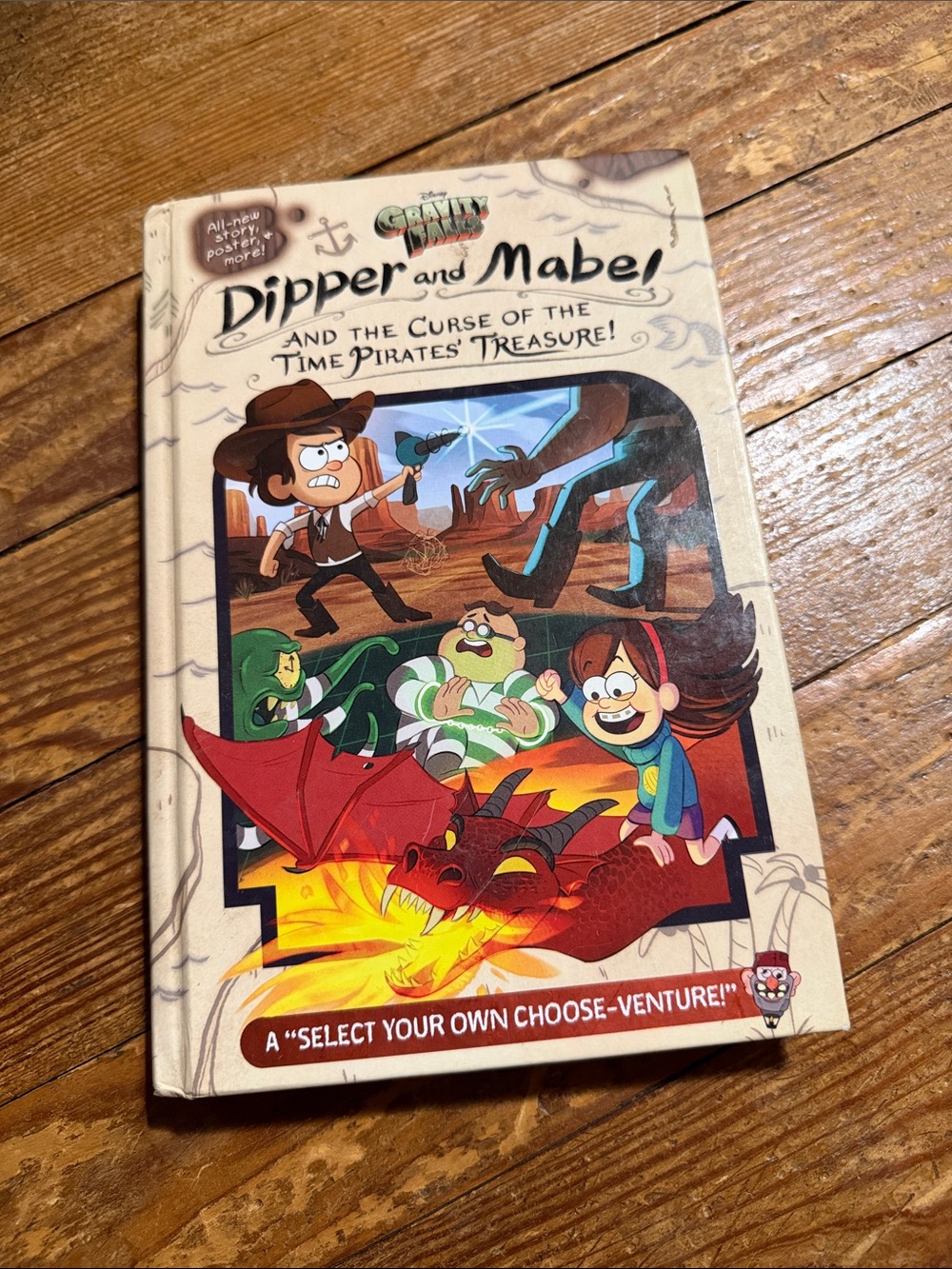 Disney Gravity Falls: Dipper and Mabel and The Curse of the Pirates Treasure